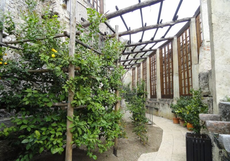 Limonaia del Castel – Limone sul Garda