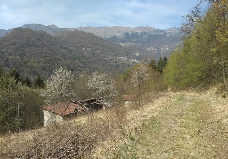 Camiolodifondo, Celi – Magasa
