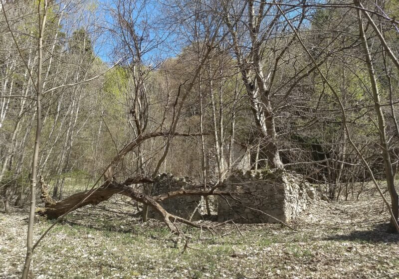 FieniledelFo3 – Magasa