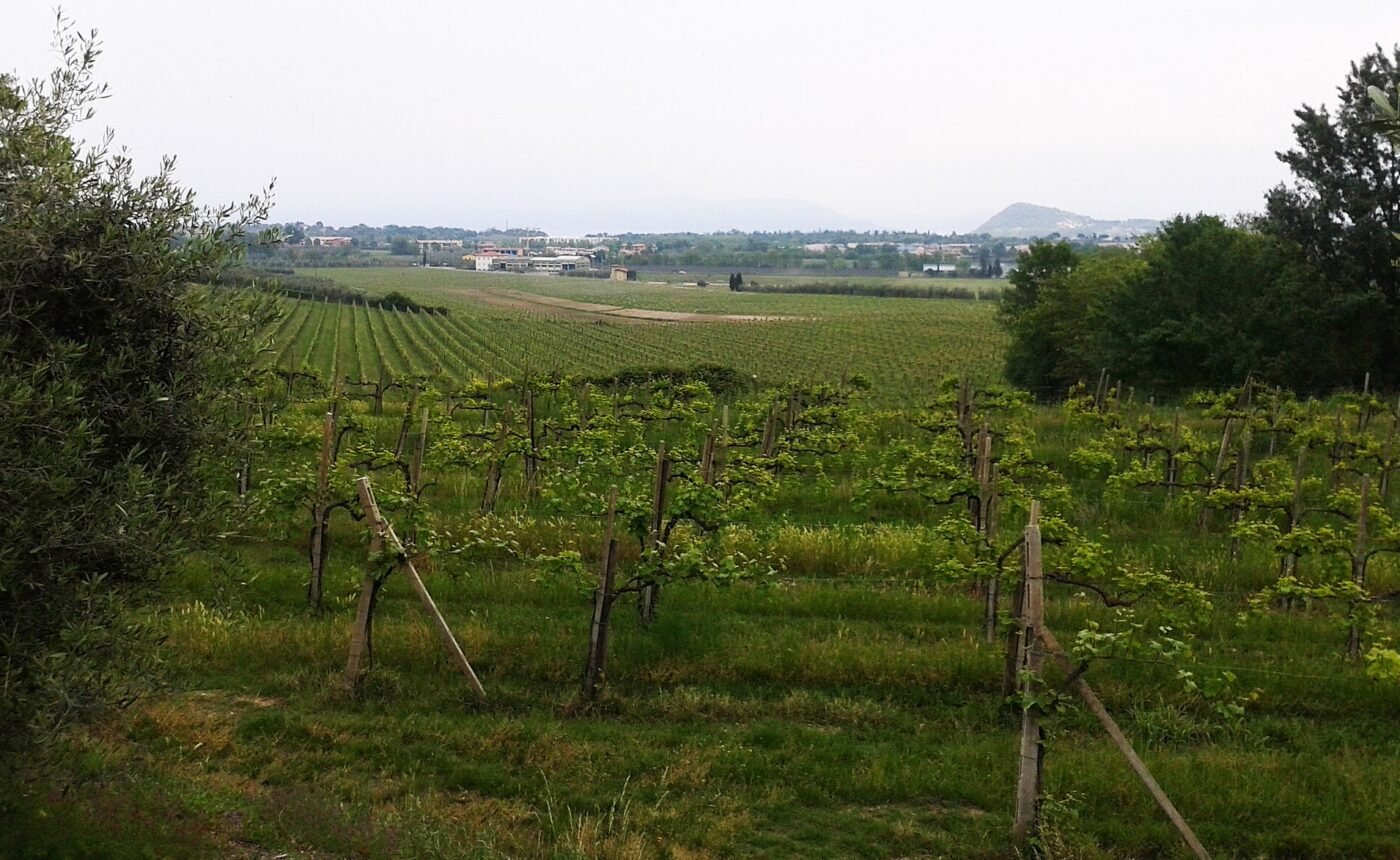 Costaripa, Moniga del Garda – Moniga del Garda