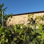 Zenato, San Benedetto di Lugana – Peschiera del Garda